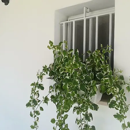 Appart hôtel Il Sogno