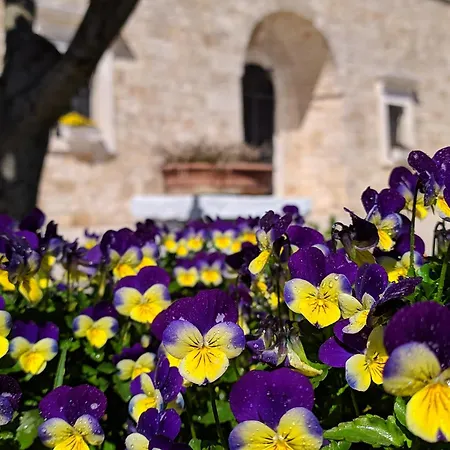 Apartahotel Il Sogno 4*
